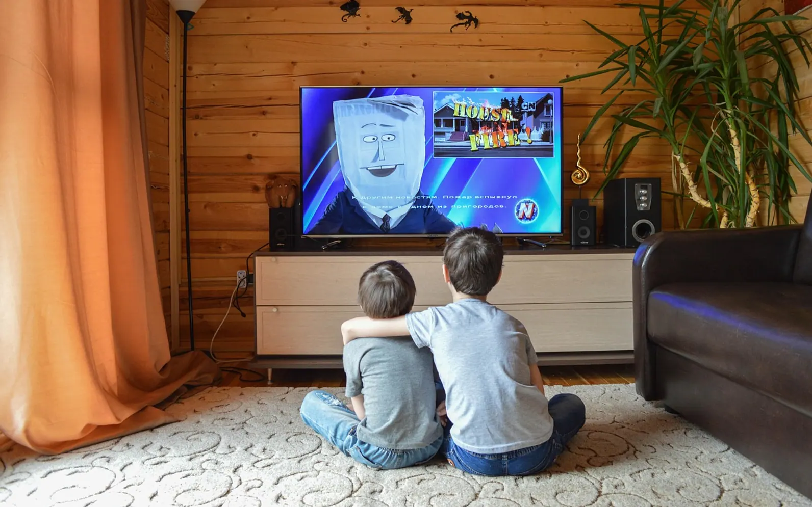 Television, kids and cartoons