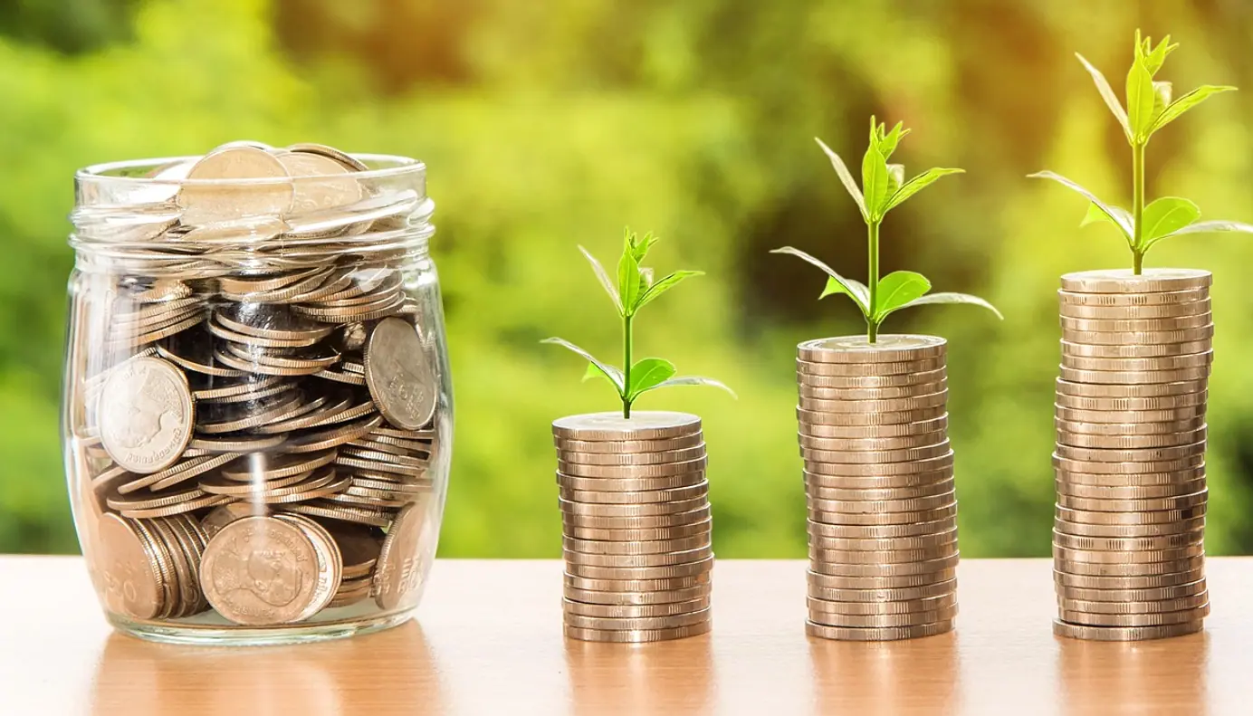 Money, profit and finance