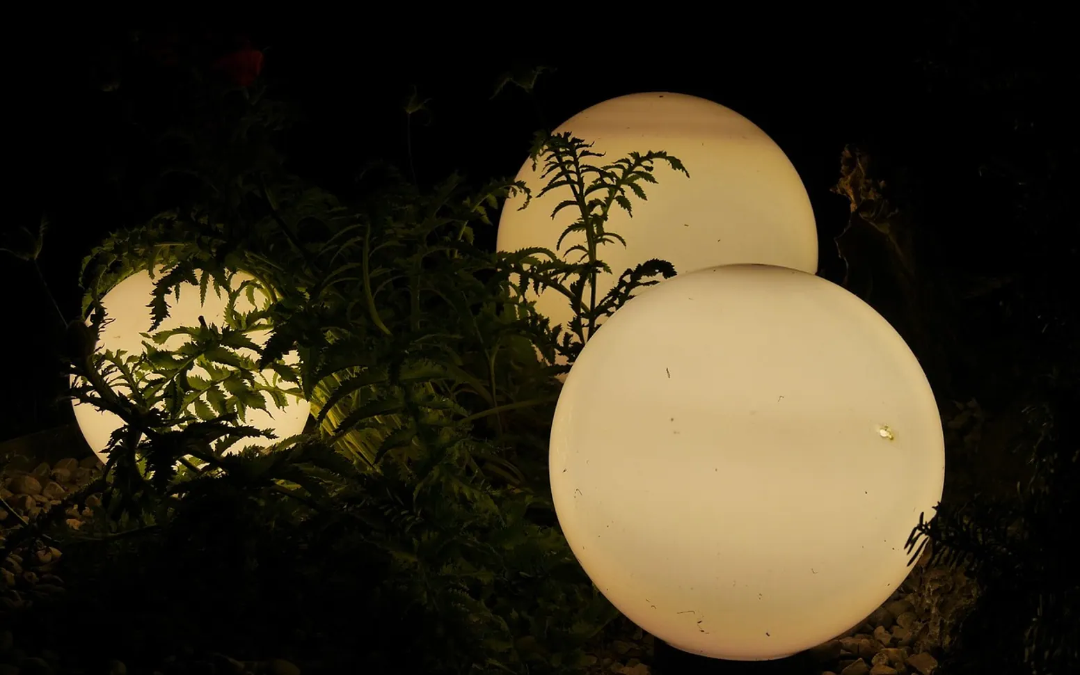 Lamps, nature and outdoor lighting