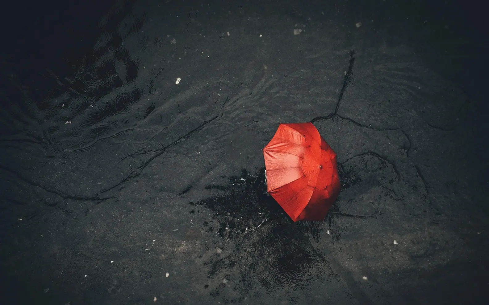 Rain, umbrella and pavement